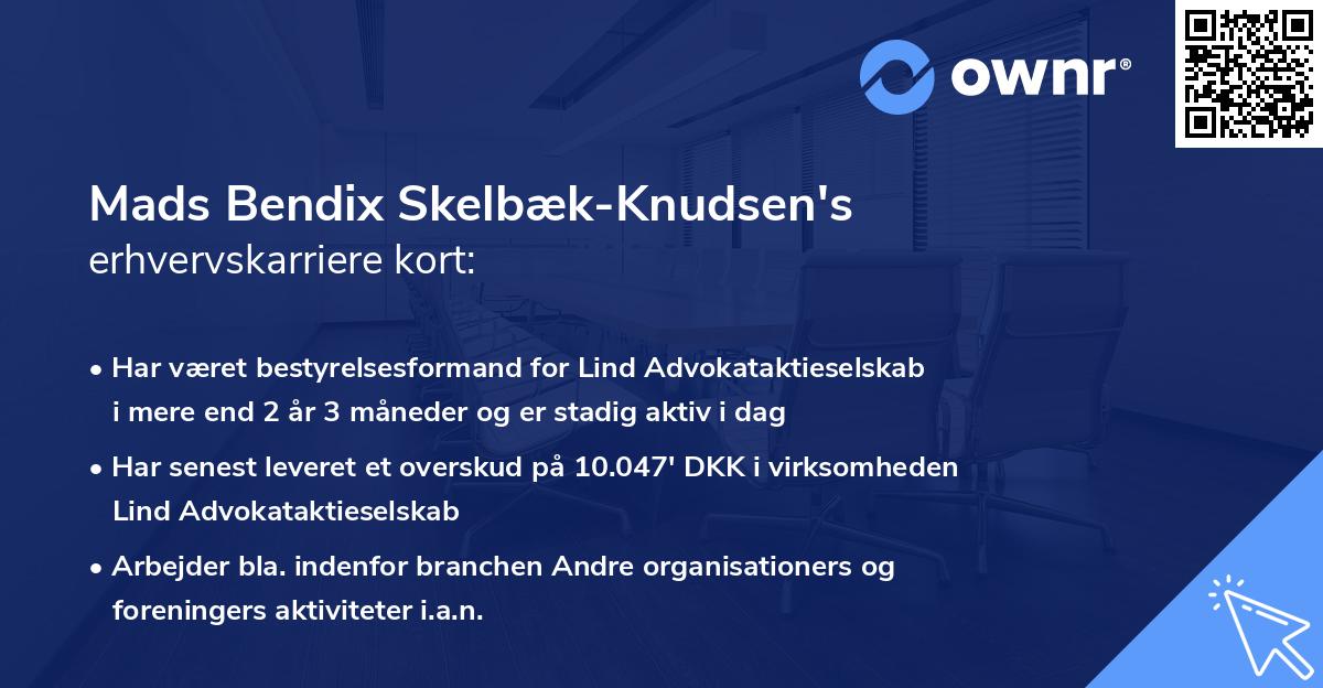 Mads Bendix Skelbæk-Knudsen's erhvervskarriere kort