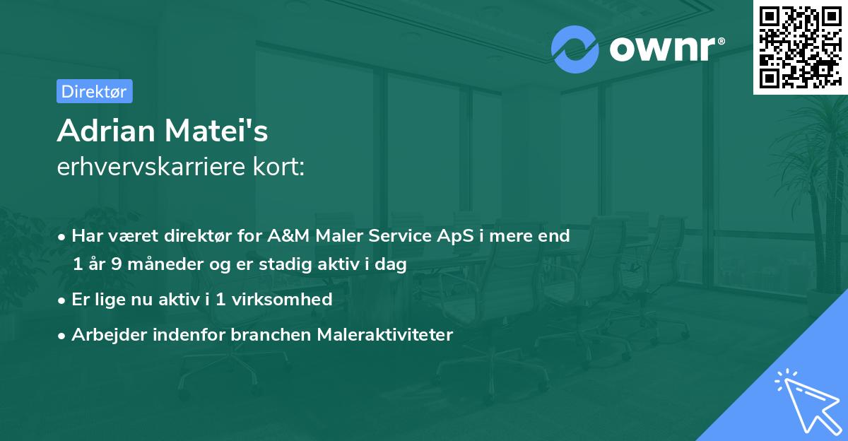Adrian Matei's erhvervskarriere kort