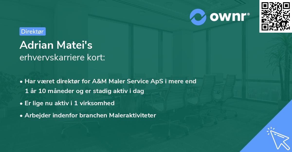 Adrian Matei's erhvervskarriere kort