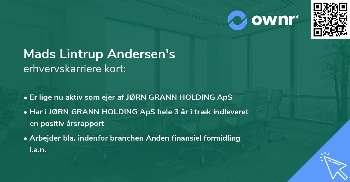 Mads Lintrup Andersen's erhvervskarriere kort