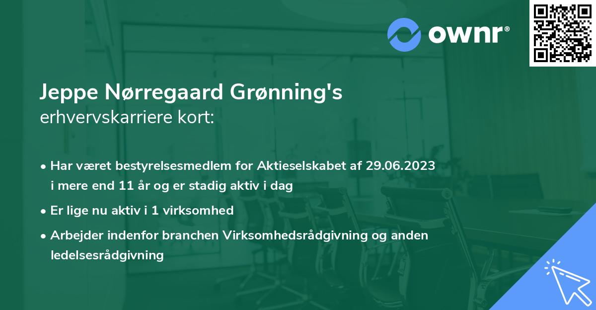 Jeppe Nørregaard Grønning's erhvervskarriere kort