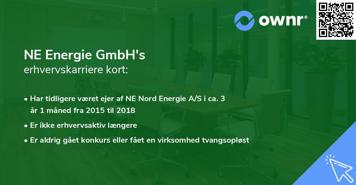 NE Energie GmbH's erhvervskarriere kort