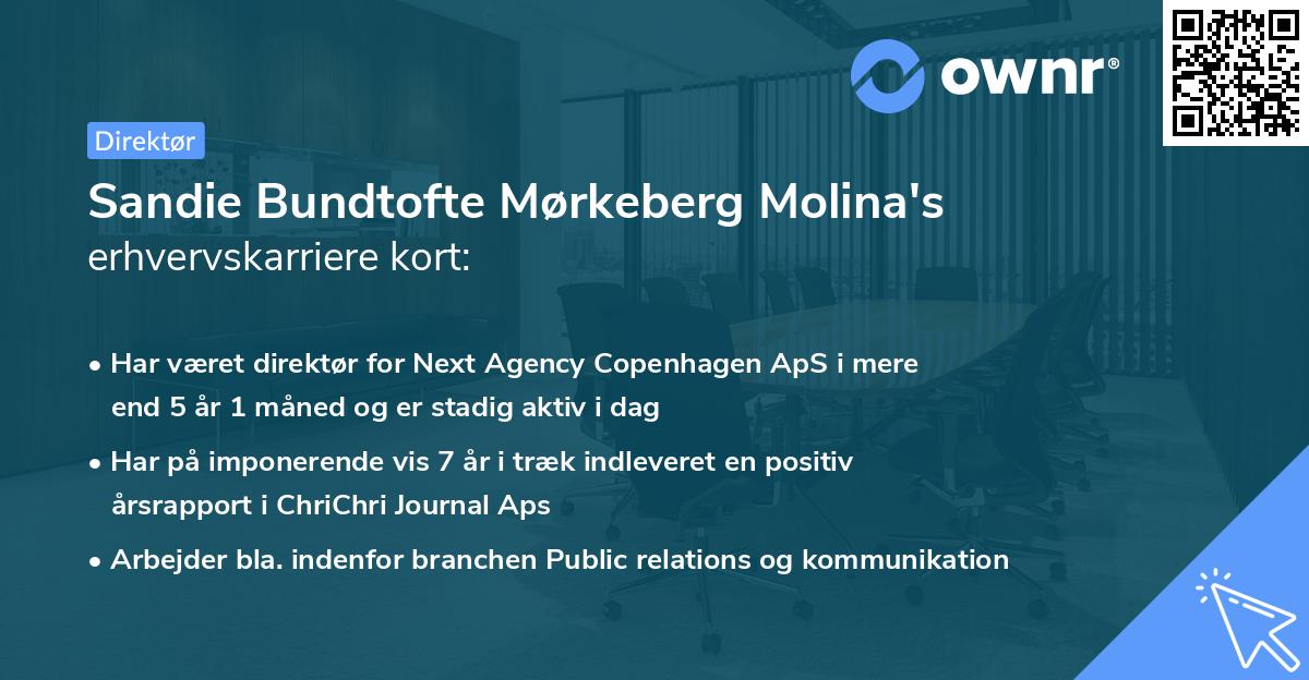 Sandie Bundtofte Mørkeberg Molina's erhvervskarriere kort