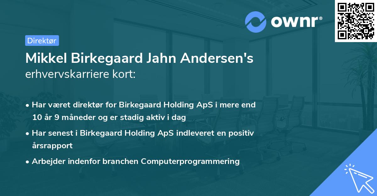 Mikkel Birkegaard Jahn Andersen's erhvervskarriere kort