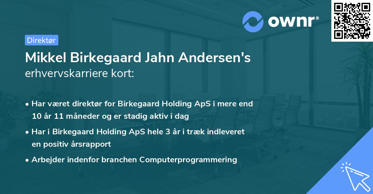 Mikkel Birkegaard Jahn Andersen's erhvervskarriere kort