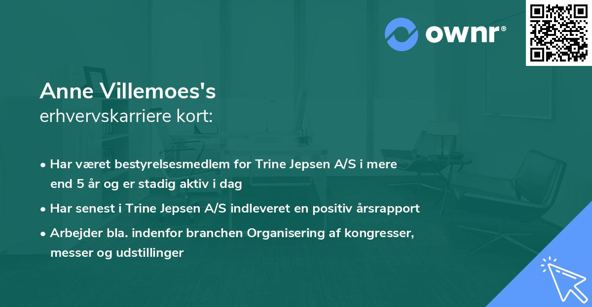 Anne Villemoes's erhvervskarriere kort