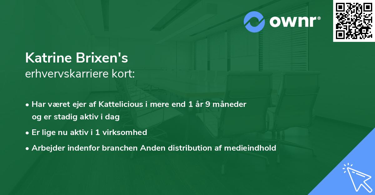 Katrine Brixen's erhvervskarriere kort
