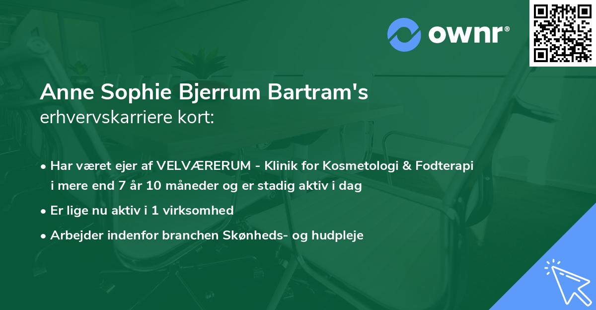 Anne Sophie Bjerrum Bartram's erhvervskarriere kort