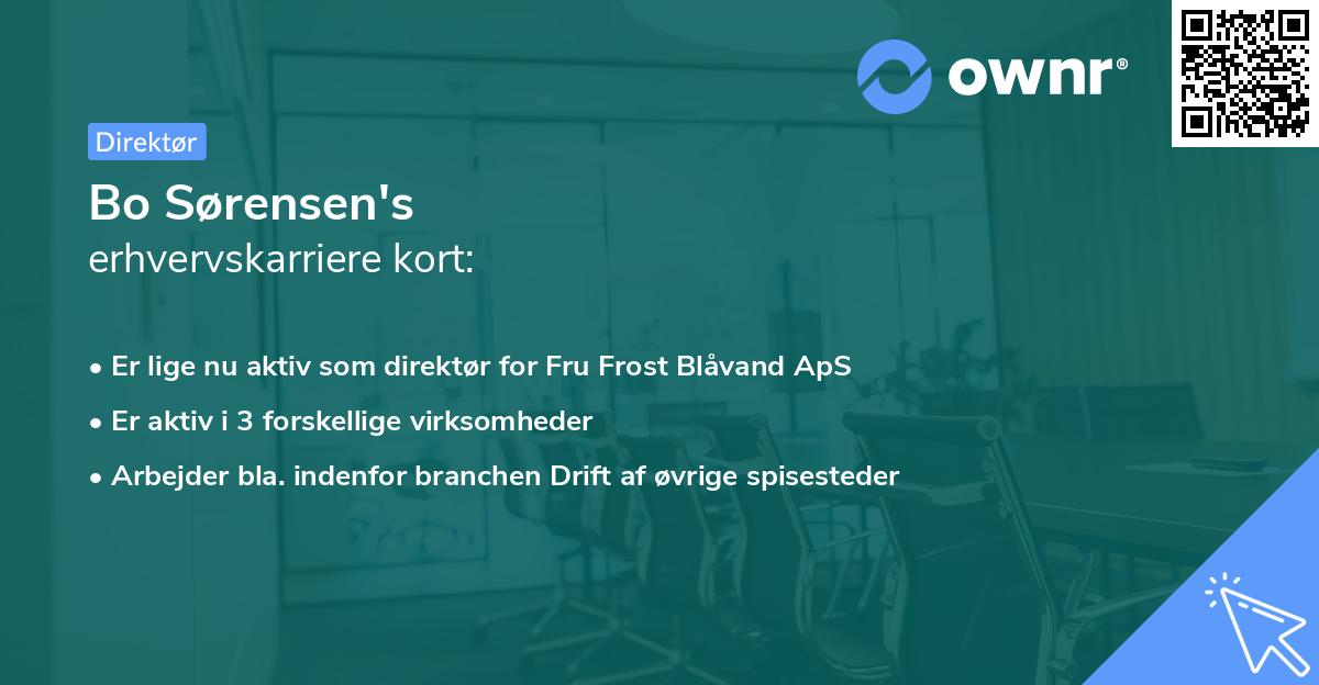 Bo Sørensen's erhvervskarriere kort