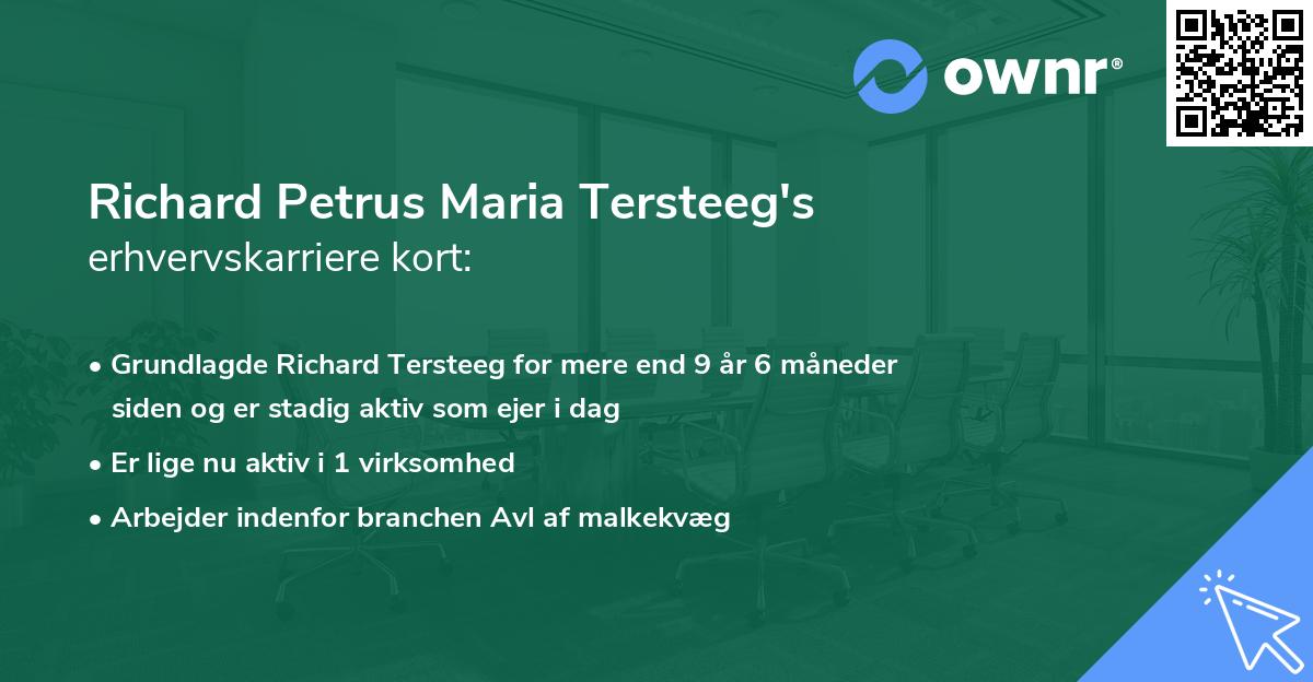 Richard Petrus Maria Tersteeg's erhvervskarriere kort