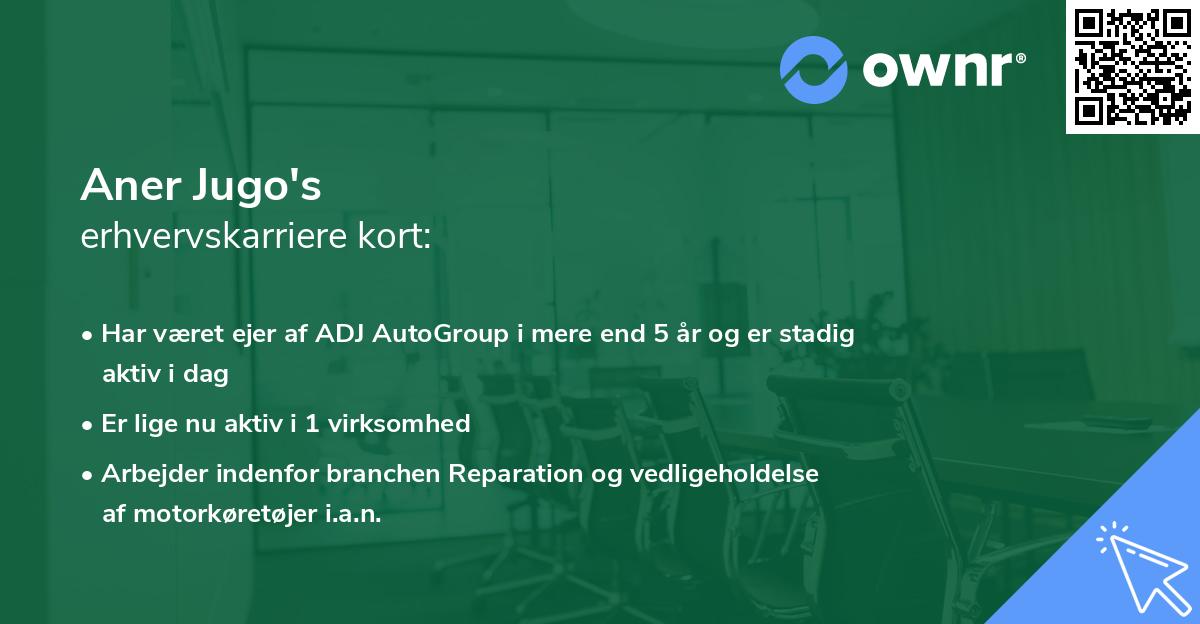 Aner Jugo's erhvervskarriere kort
