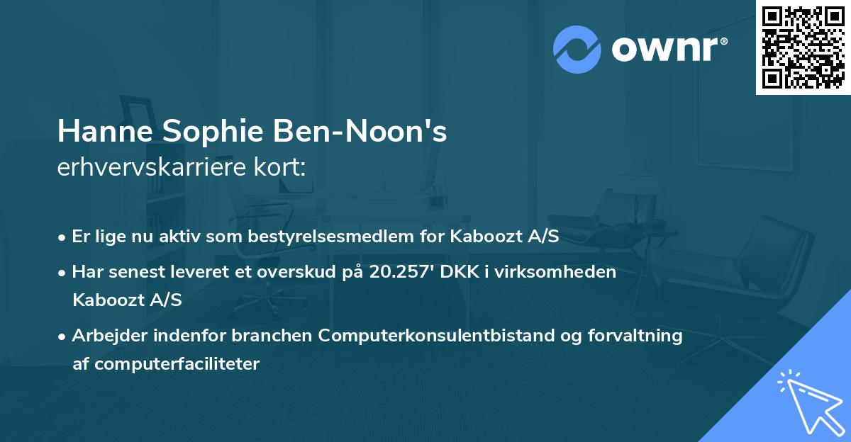 Hanne Sophie Ben-Noon's erhvervskarriere kort