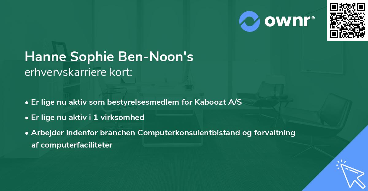 Hanne Sophie Ben-Noon's erhvervskarriere kort