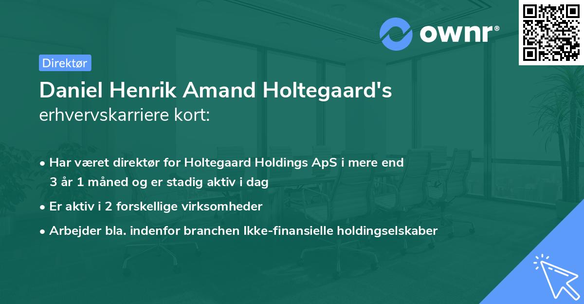 Daniel Henrik Amand Holtegaard's erhvervskarriere kort