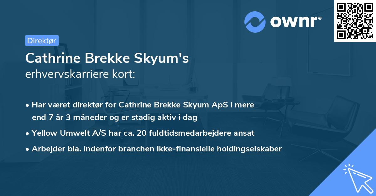 Cathrine Brekke Skyum's erhvervskarriere kort