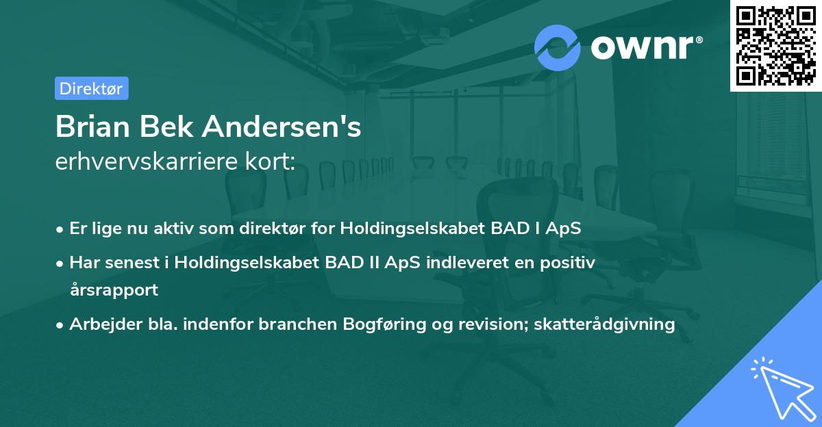 Brian Bek Andersen's erhvervskarriere kort