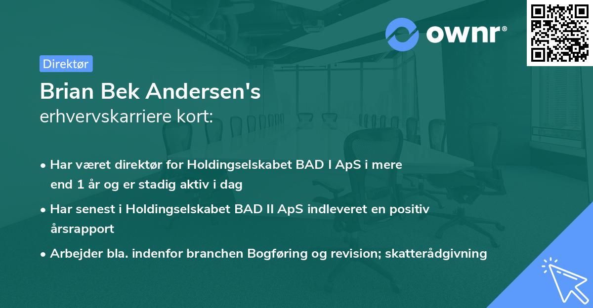 Brian Bek Andersen's erhvervskarriere kort