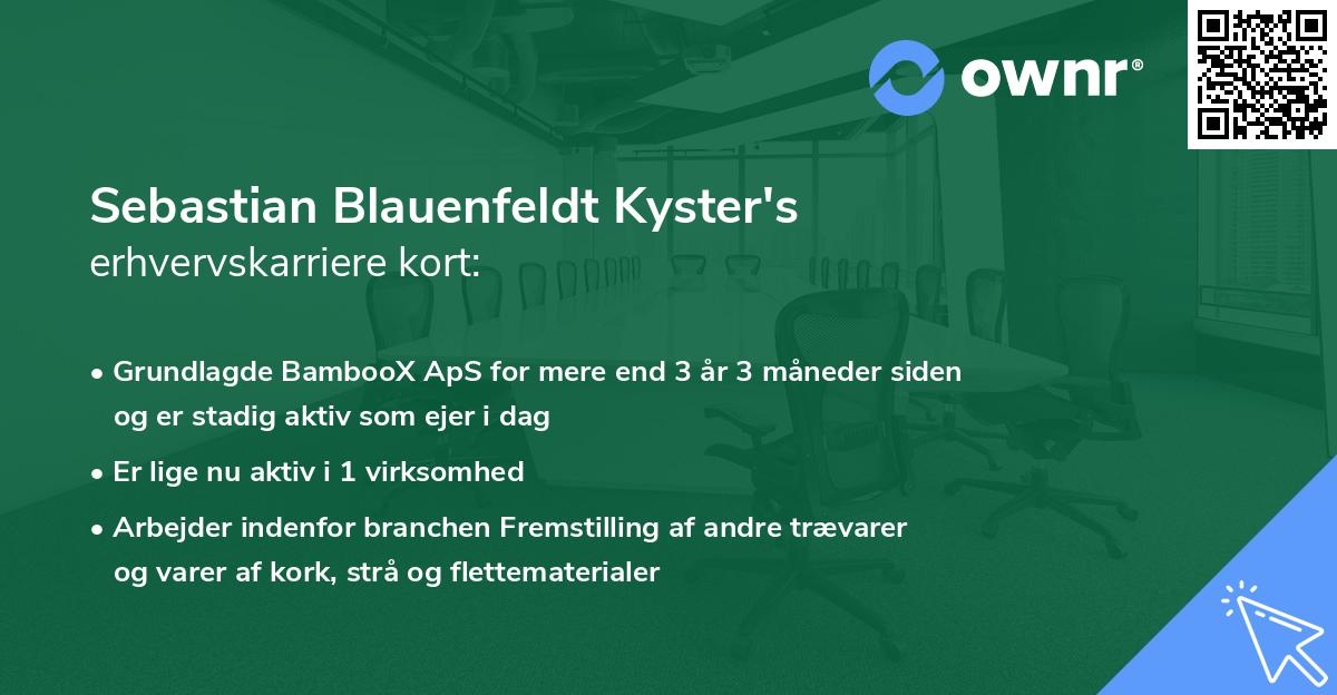 Sebastian Blauenfeldt Kyster's erhvervskarriere kort