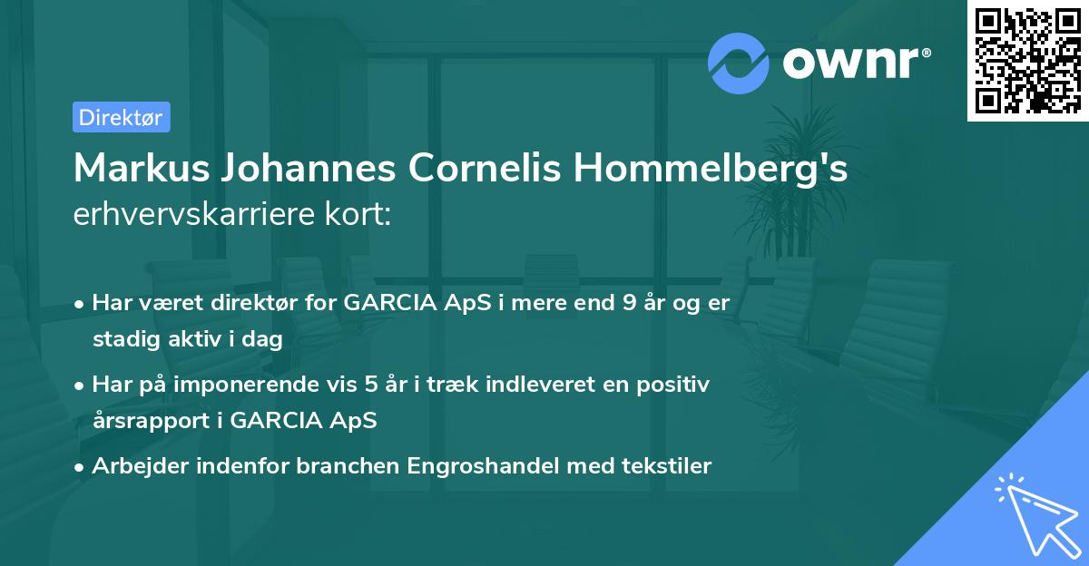 Markus Johannes Cornelis Hommelberg's erhvervskarriere kort