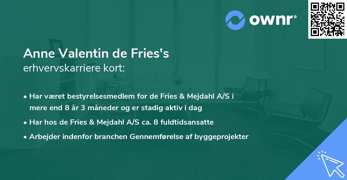 Anne Valentin de Fries's erhvervskarriere kort