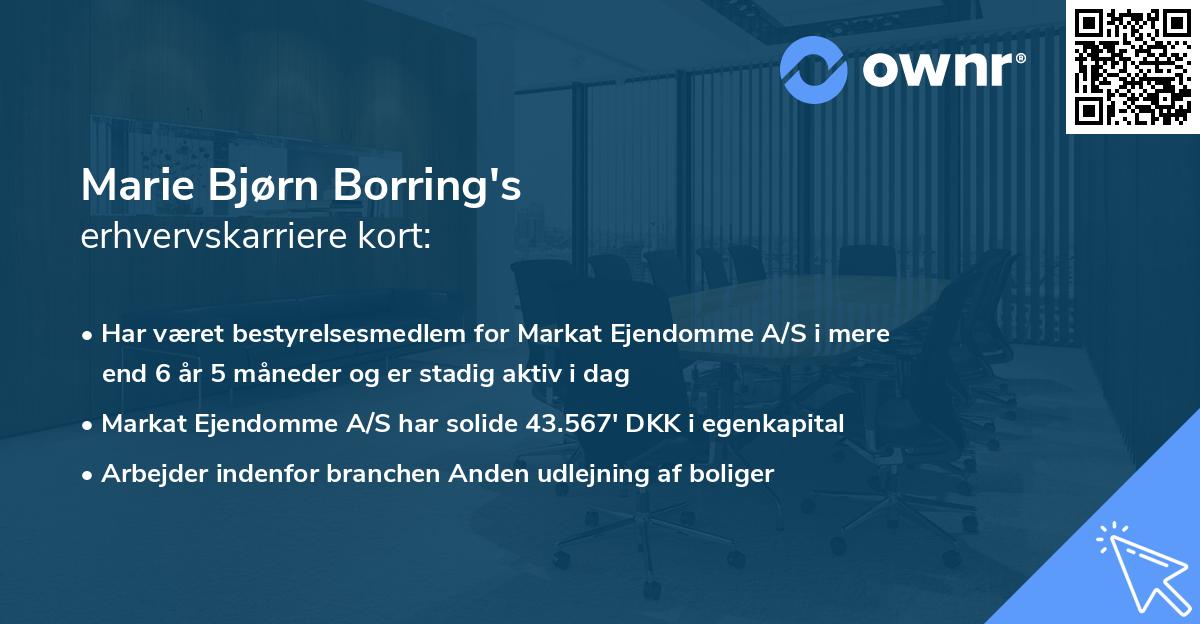 Marie Bjørn Borring's erhvervskarriere kort