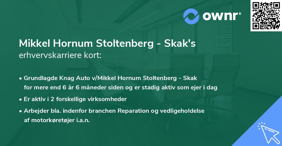 Mikkel Hornum Stoltenberg - Skak's erhvervskarriere kort
