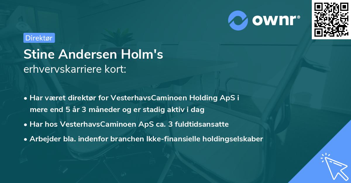 Stine Andersen Holm's erhvervskarriere kort