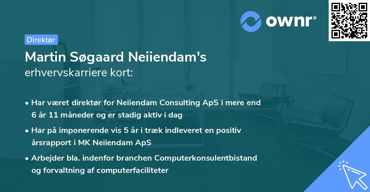 Martin Søgaard Neiiendam's erhvervskarriere kort