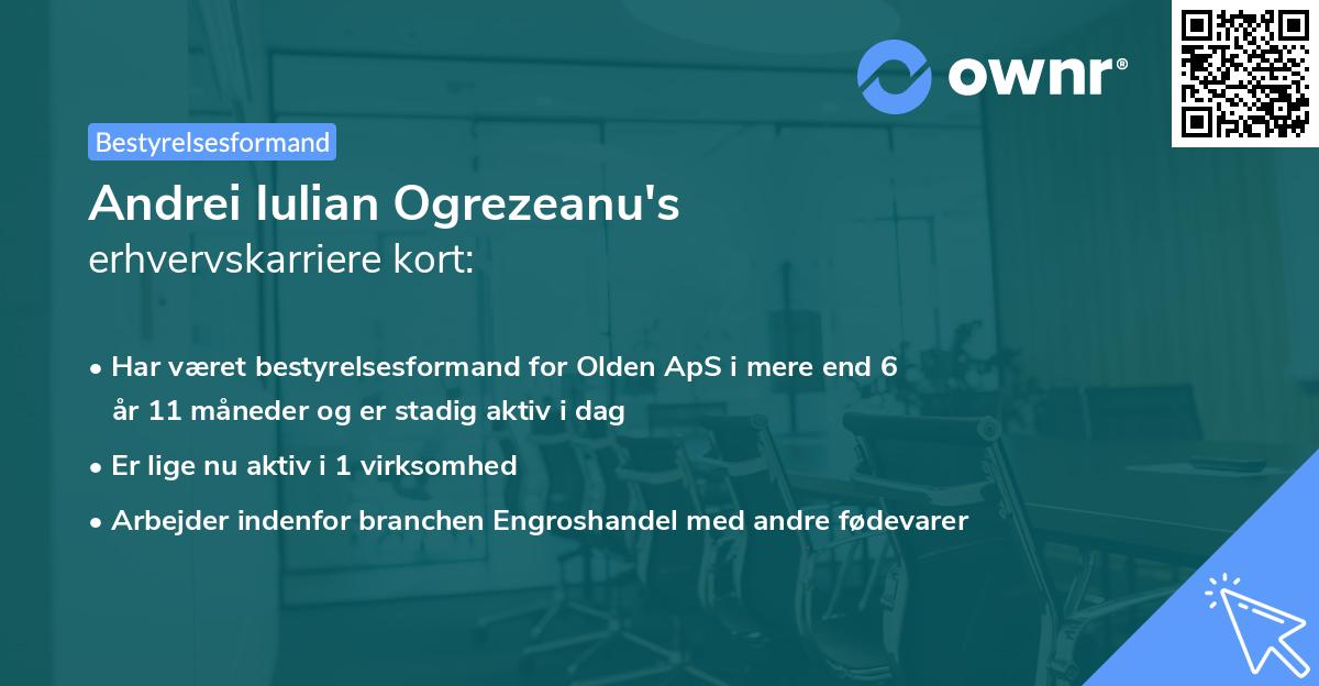 Andrei Iulian Ogrezeanu's erhvervskarriere kort