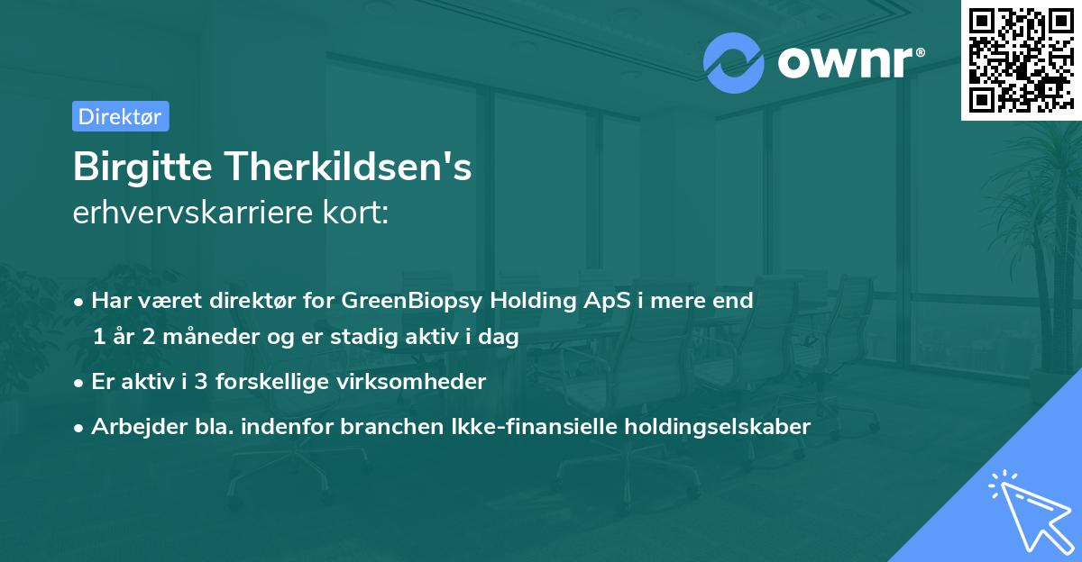 Birgitte Therkildsen's erhvervskarriere kort