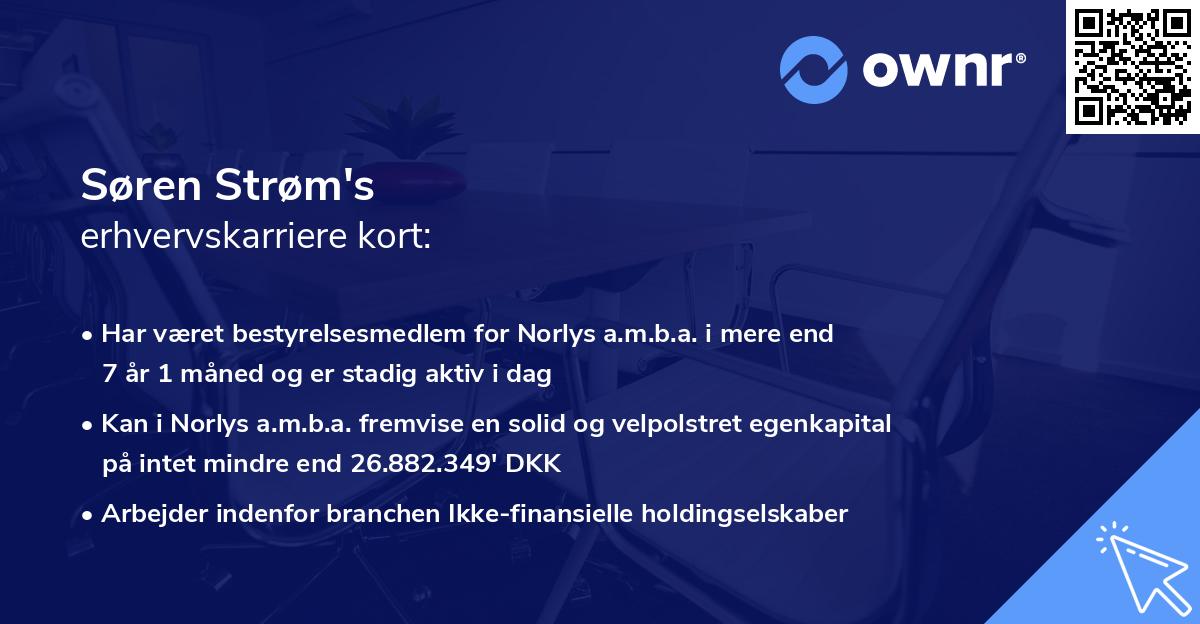 Søren Strøm's erhvervskarriere kort