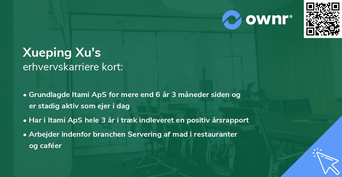 Xueping Xu's erhvervskarriere kort