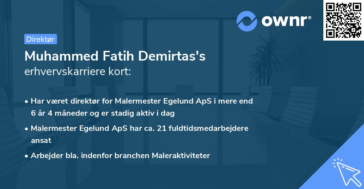 Muhammed Fatih Demirtas's erhvervskarriere kort