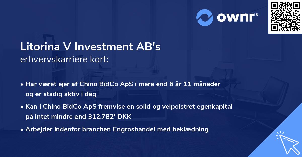 Litorina V Investment AB's erhvervskarriere kort