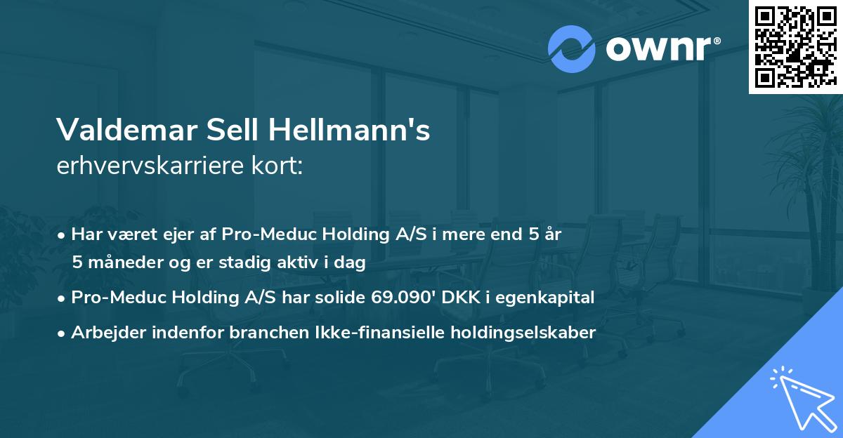 Valdemar Sell Hellmann's erhvervskarriere kort