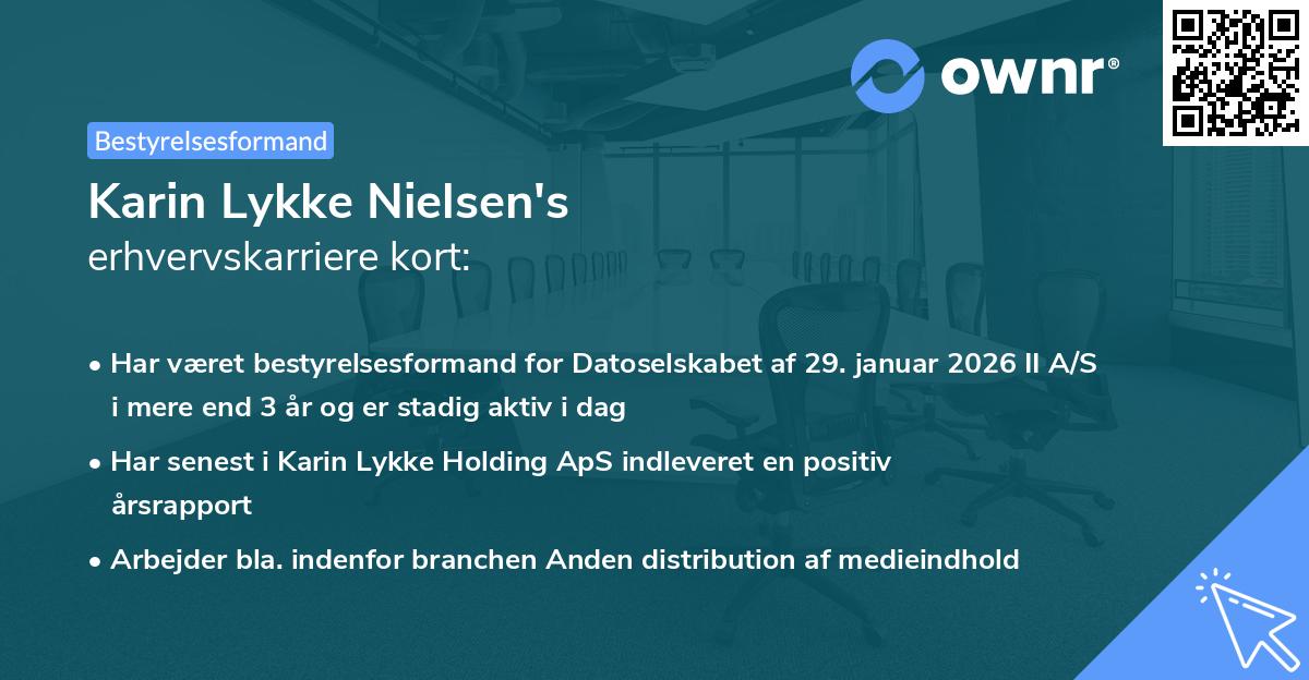 Karin Lykke Nielsen's erhvervskarriere kort