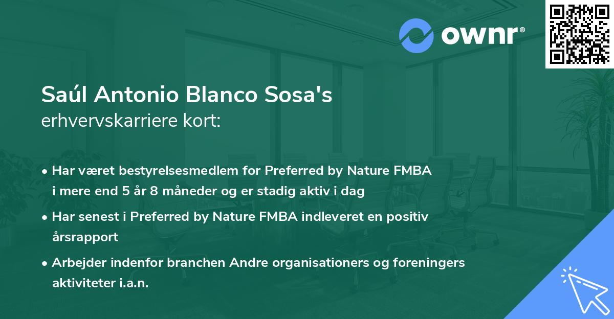 Saúl Antonio Blanco Sosa's erhvervskarriere kort