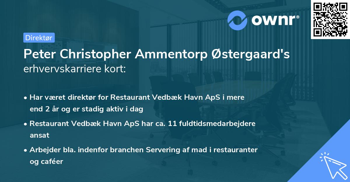 Peter Christopher Ammentorp Østergaard's erhvervskarriere kort