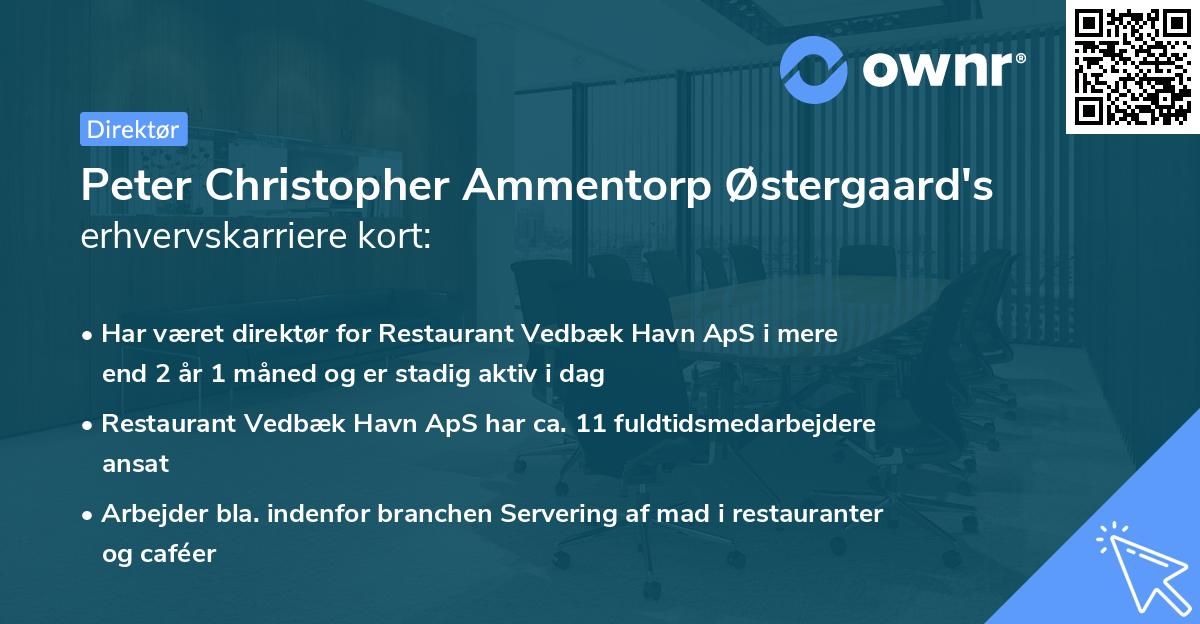 Peter Christopher Ammentorp Østergaard's erhvervskarriere kort