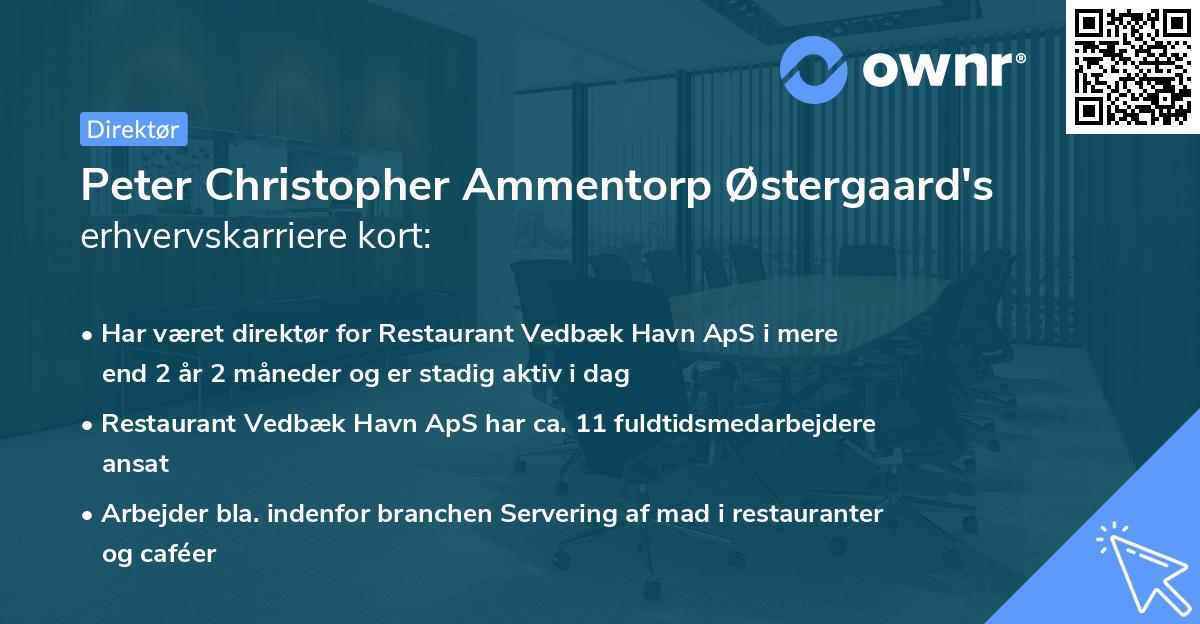 Peter Christopher Ammentorp Østergaard's erhvervskarriere kort