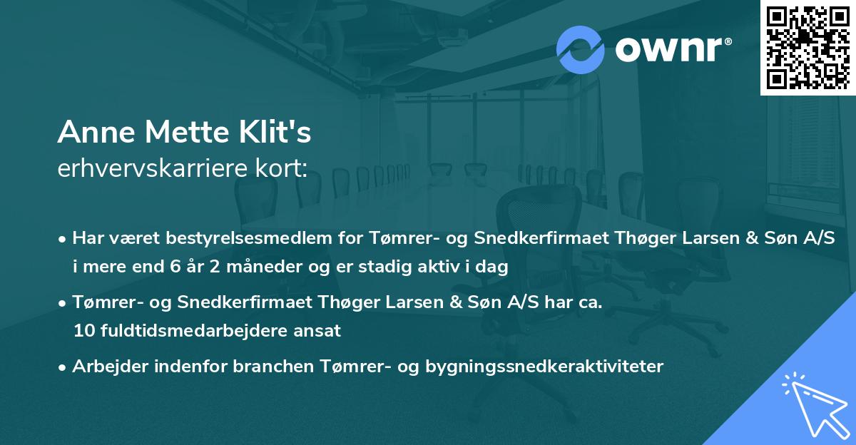 Anne Mette Klit's erhvervskarriere kort