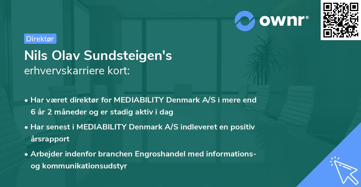 Nils Olav Sundsteigen's erhvervskarriere kort