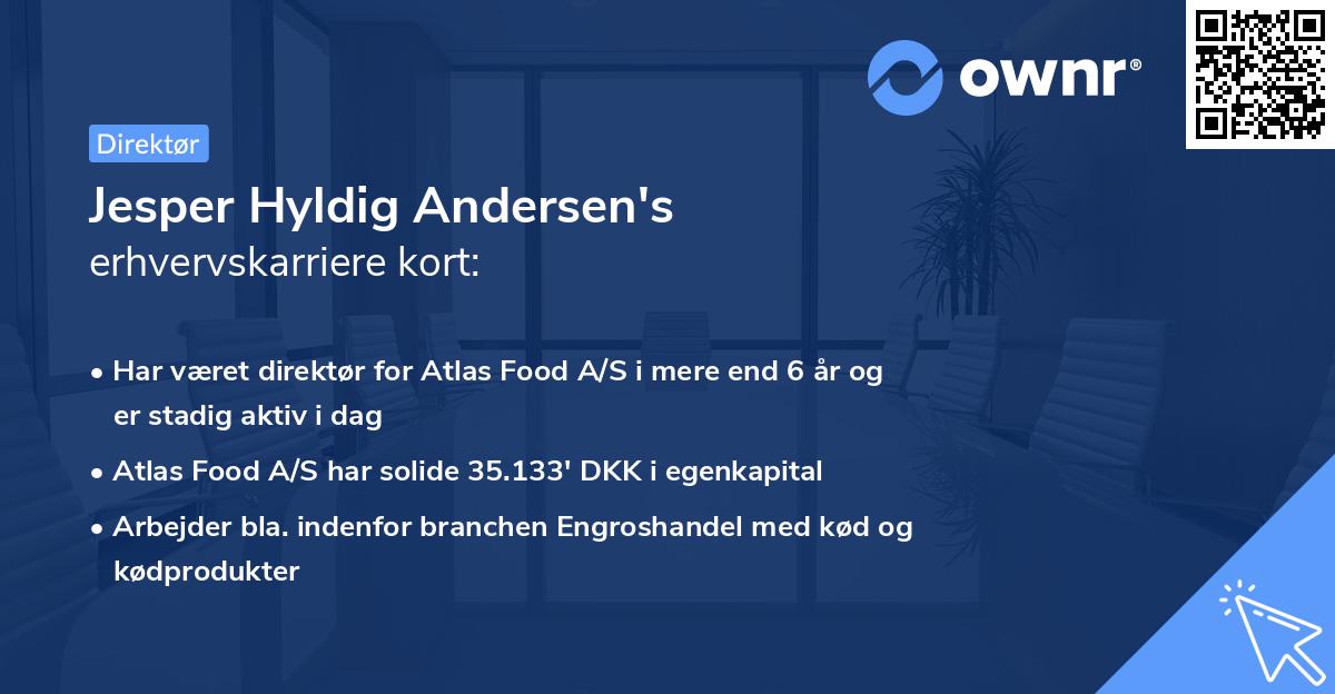 Jesper Hyldig Andersen's erhvervskarriere kort