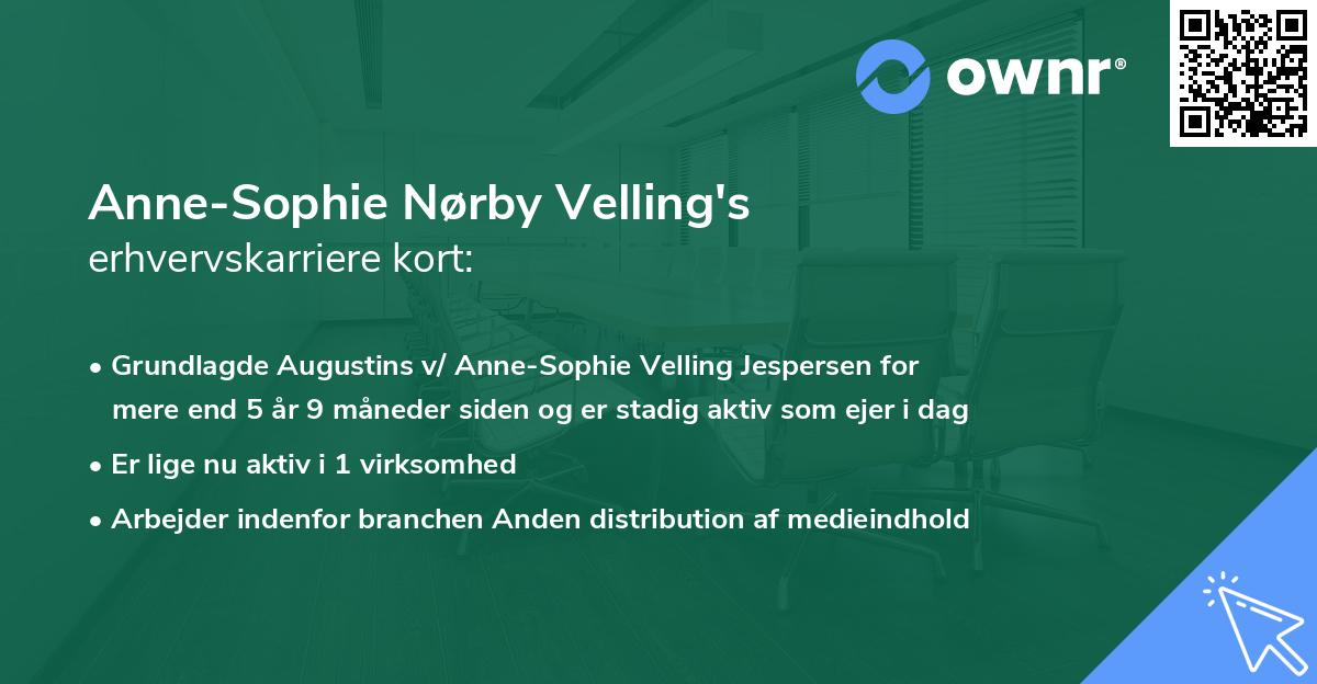 Anne-Sophie Nørby Velling's erhvervskarriere kort