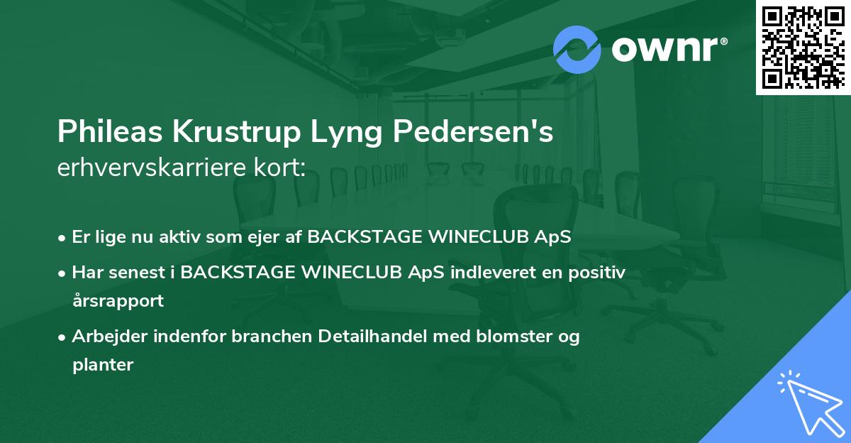 Phileas Krustrup Lyng Pedersen's erhvervskarriere kort