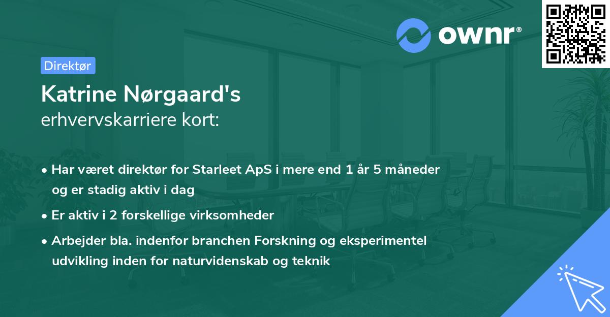 Katrine Nørgaard's erhvervskarriere kort
