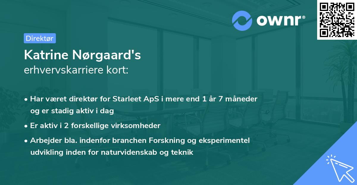 Katrine Nørgaard's erhvervskarriere kort