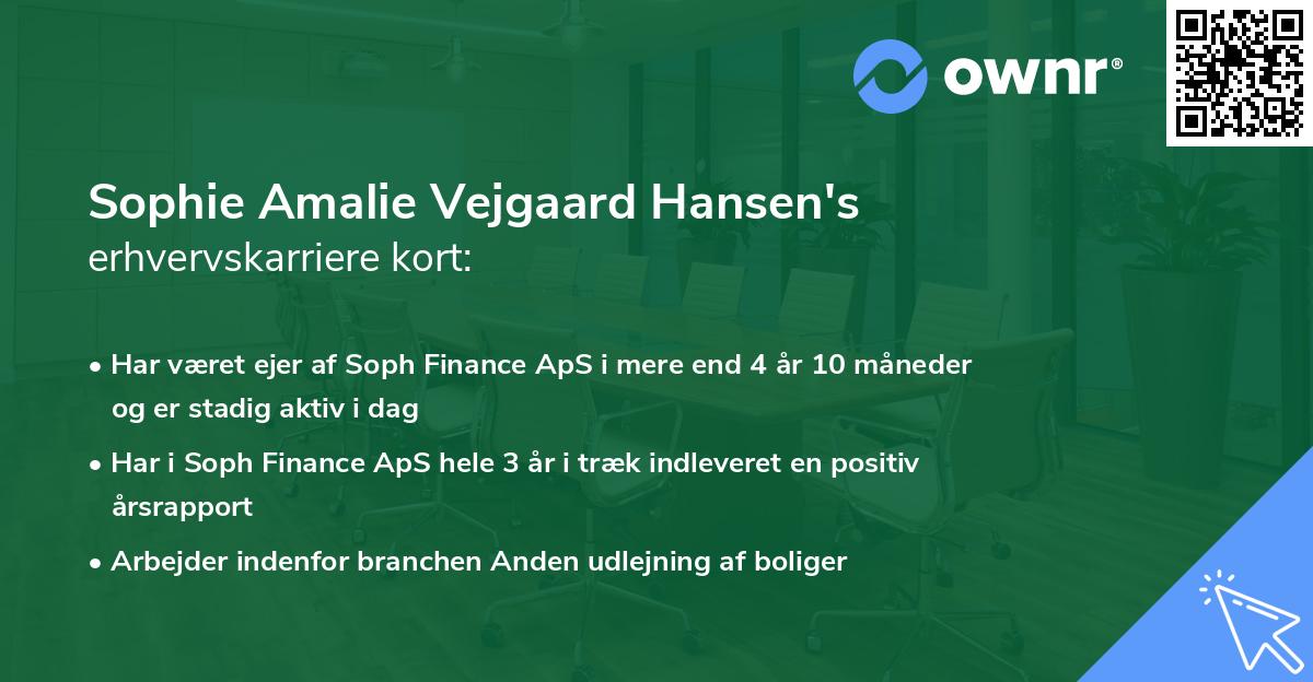 Sophie Amalie Vejgaard Hansen's erhvervskarriere kort