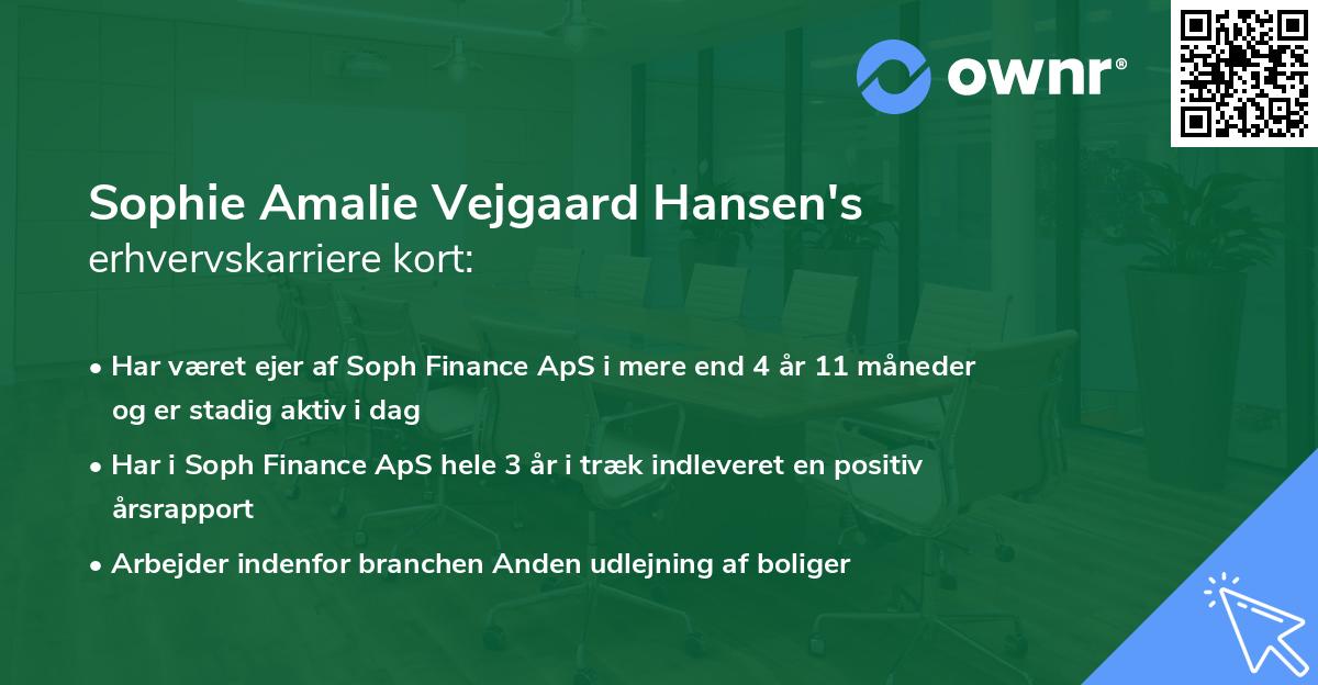 Sophie Amalie Vejgaard Hansen's erhvervskarriere kort