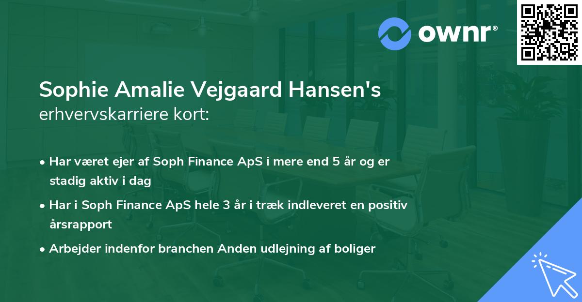 Sophie Amalie Vejgaard Hansen's erhvervskarriere kort